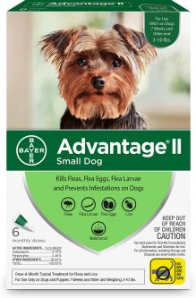 Advantage II For Dogs Under 10 lbs 6 Pack